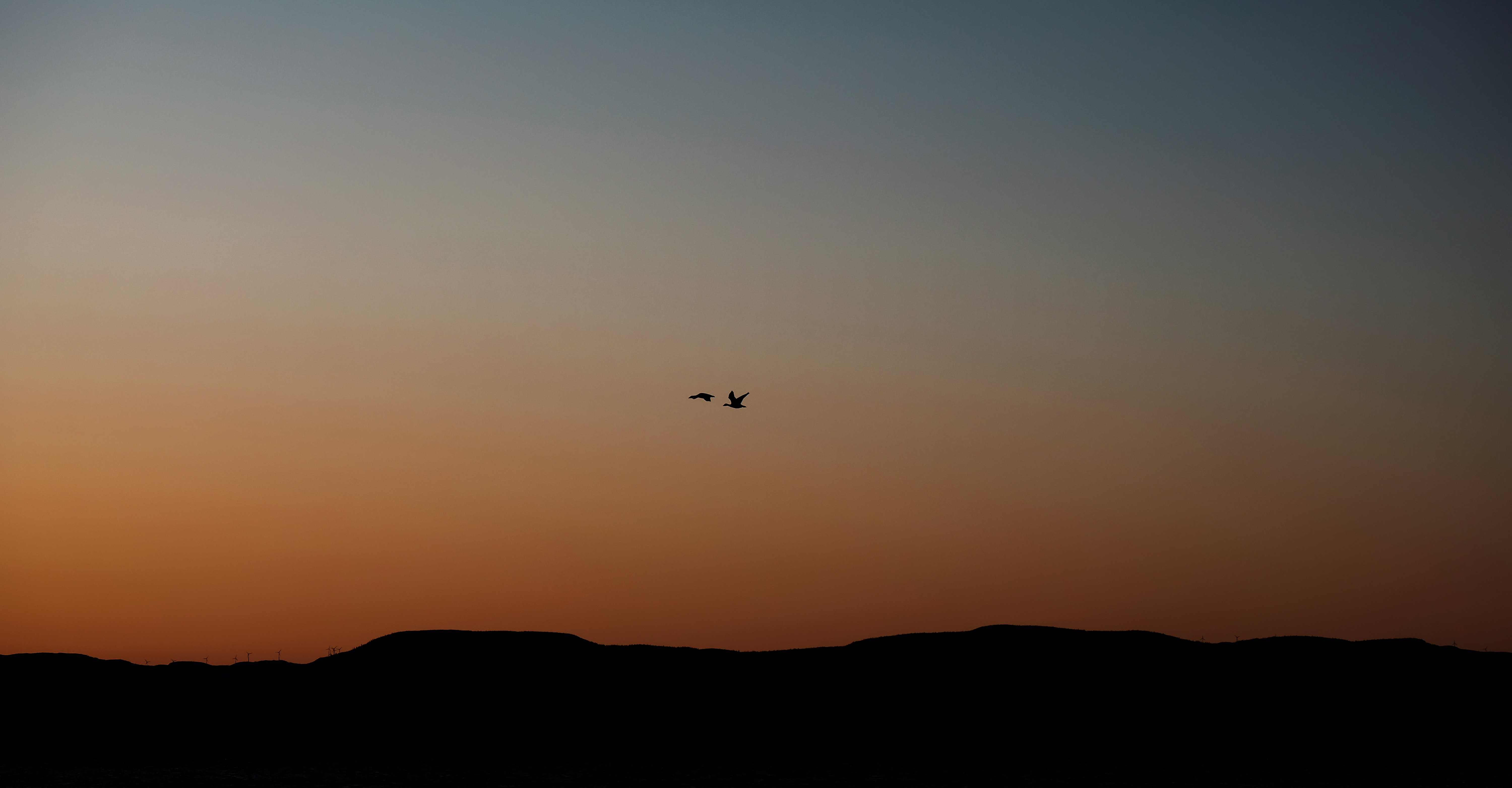 silhouette of airplane flying during sunset